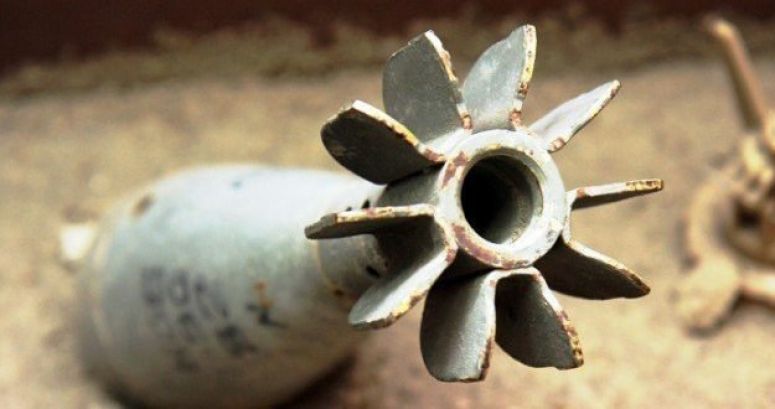 Abandoned Mortar Shell Found In South Delhi Park, NSG Called In