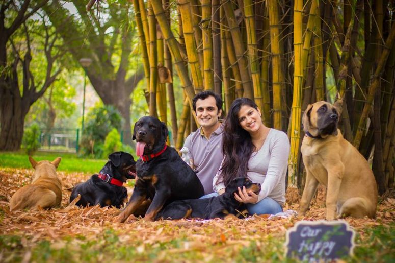 They Were Asked To Give Up Their Dogs But Instead, They Did A Beautiful Pregnancy Shoot Together