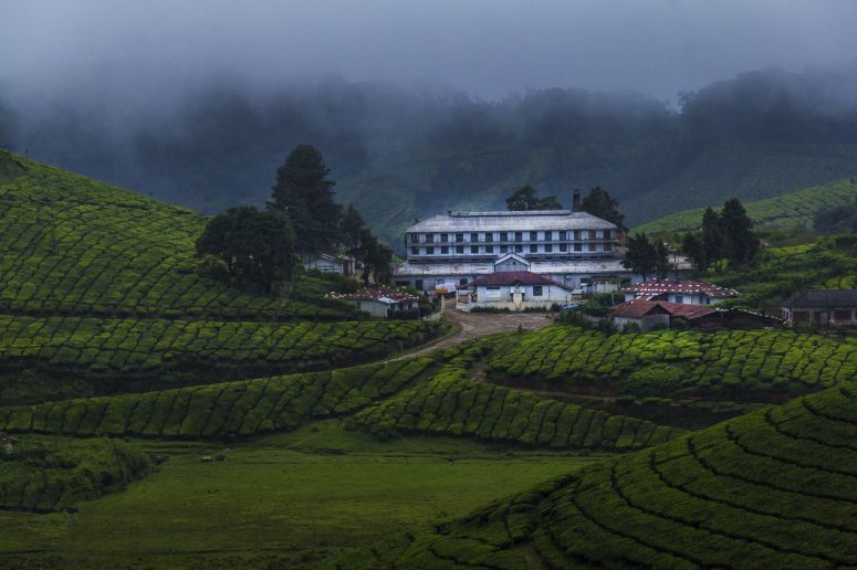 IF YOU ARE A Landscape Professional photographer Then Here's Why The Serene Town Of Munnar OUGHT TO BE THE NEXT Muse