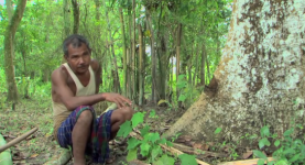 This Guy Single-Handedly Built An Entire Forest To Give Back To Nature. No Joke This.