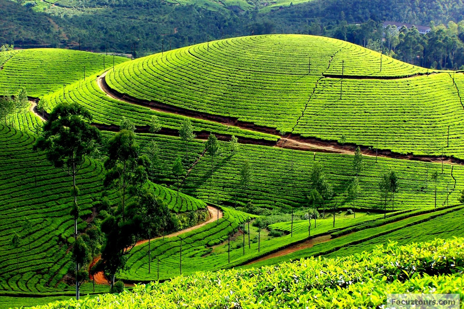 10 Reasons Why Ooty Is A Unique Place To Visit