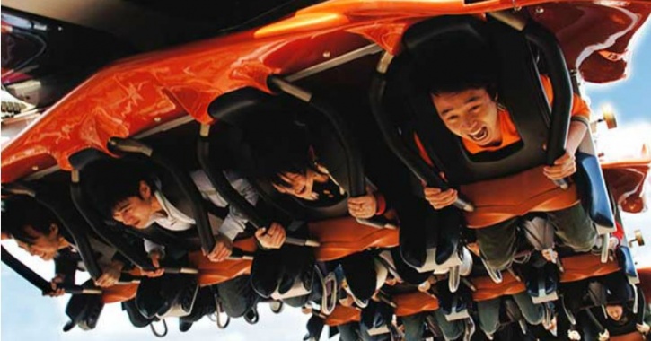 Scary! One Bird Made These Roller Coaster Riders Hang Upside Down For Twenty Minutes!