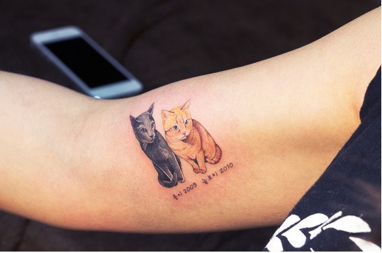 cat tattoos are probably the cutest way to break the law in south korea