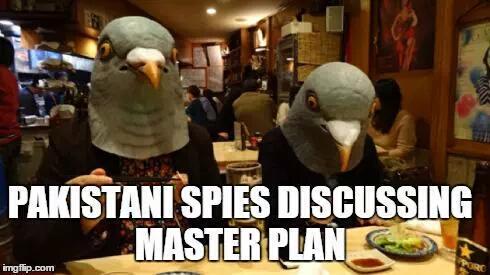 This Is How Pakistan Reacted To News Of The â€˜Pakistani Spyâ€™ Pigeon Being Arrested In India