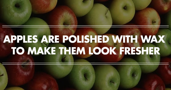 Disturbing Facts About Food That Will Make You Wanna Stop Eating