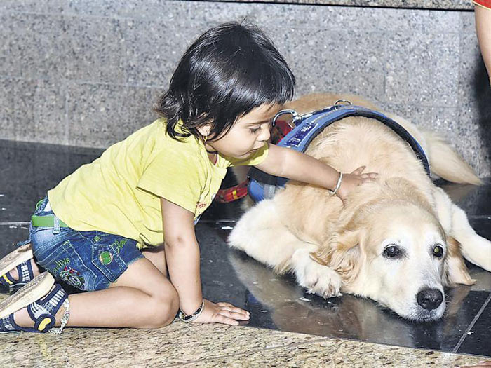 Mumbai Airport Recruits Trained Therapy Dogs To Bring A Smile On Passengerâ€™s Face