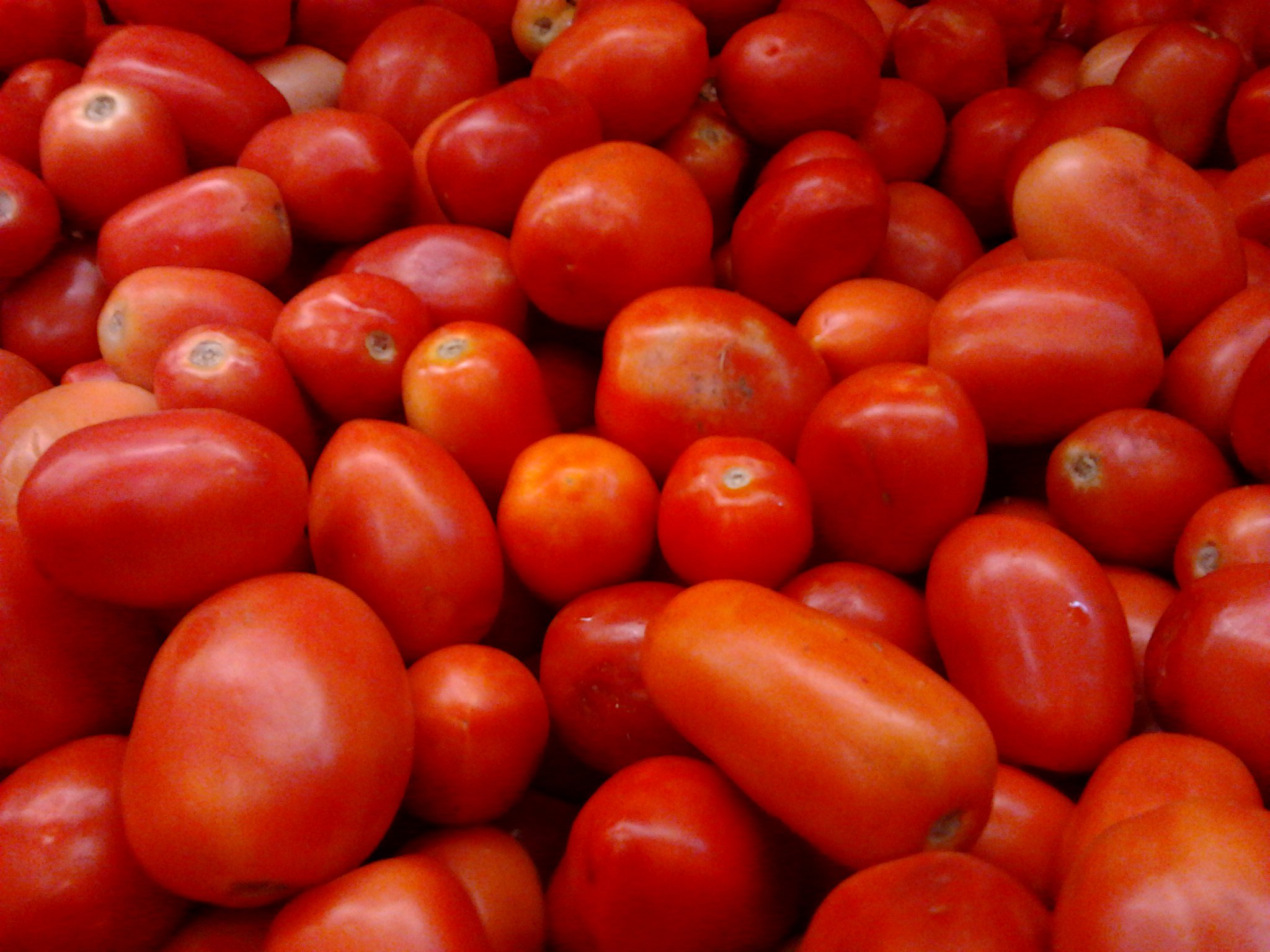 Bad News Tomato Prices To Remain Sky-High At Rs100 Per Kg For Another 2 Months