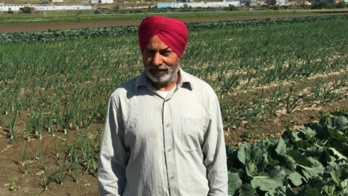 Canadian Sikh Farmer Rescues Drowning Woman Using His Turban