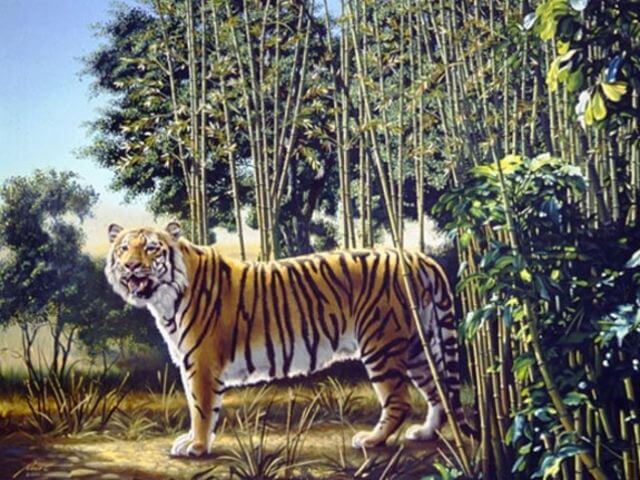 There is A Hidden Tiger In This Painting Do You Think You Can Spot It