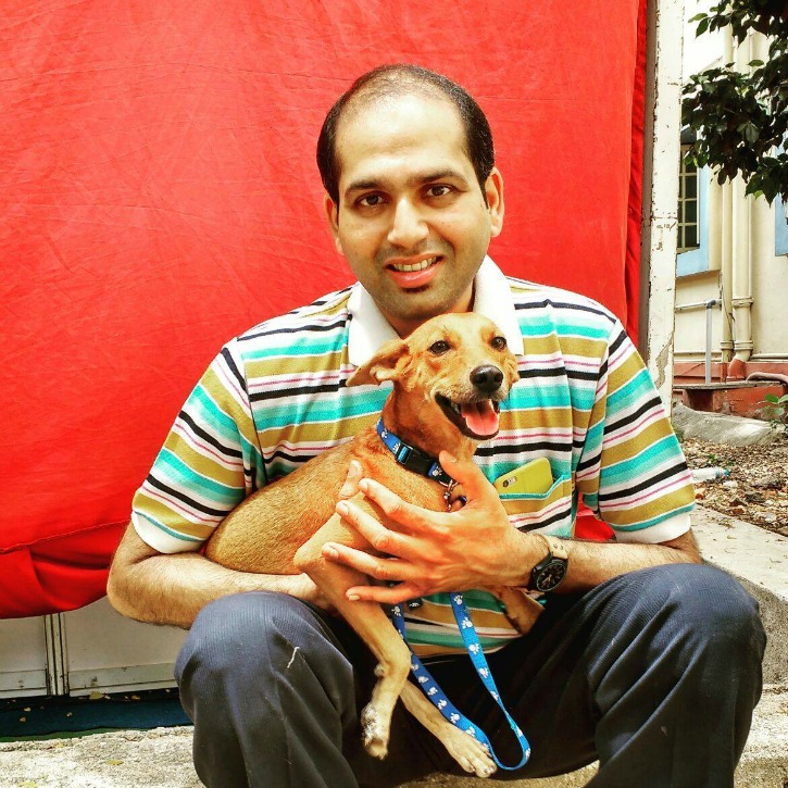 Chennai Dog Who Was Thrown Off Roof Has Since Recovered And Found A Permanent Home