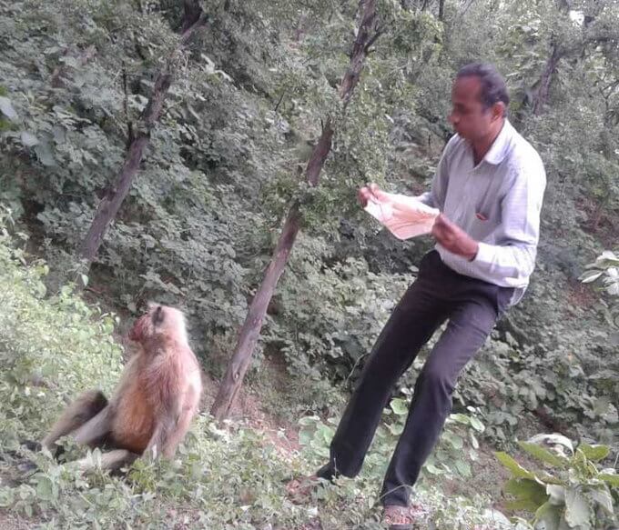This Teacher From MP Set A Humane Example By Saving The Life Of An Injured Monkey Lying On The Road