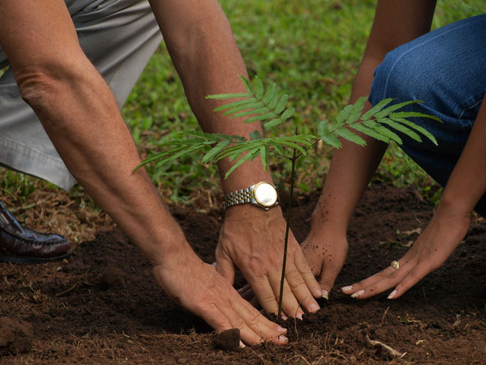 Money To Grow On Trees! Maharashtra Will Give ‘Tree Credits’ To Those Who Raise Trees