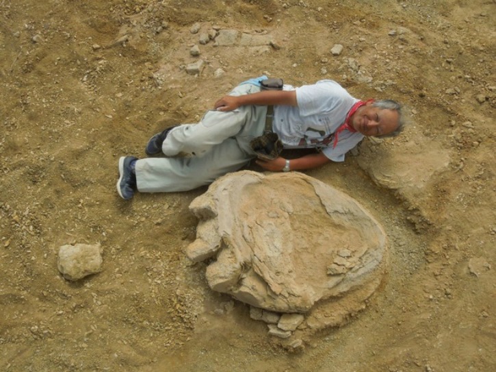 Researchers From Japan And Mongolia Unearth The Worlds Largest Dinosaur Footprint Ever