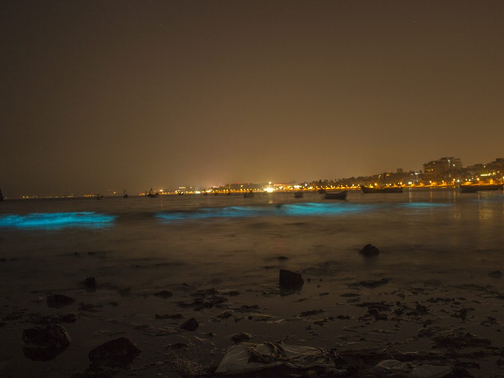 Mumbais Juhu Beach Is Glowing Fluorescent In The Dark Once Again & Its A Surreal Sight