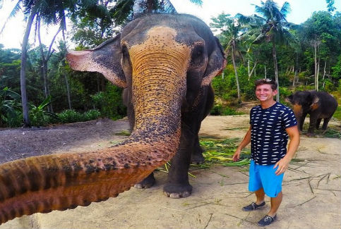 An Elephant Just Clicked A Selfie. Presenting The Worldâ€™s First â€˜Elphieâ€™!