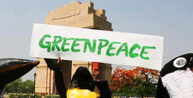 Greenpeace Controversy: International Staff Denied Entry In India Despite Valid Documents