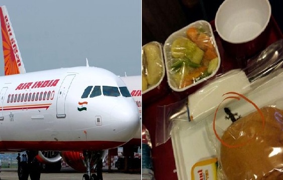 Civil Aviation Minister Stands Up For Air India, Says There Was No Lizard In Food