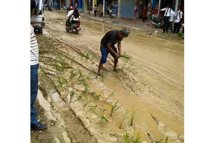 What Made This Man Sow Paddy In The Middle Of The â€˜Roadâ€™?