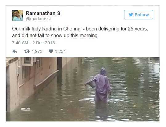 Radha Has Been Delivering Milk For 25 Years & Even The Chennai Floods Couldnâ€™t Stop Her