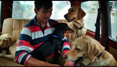 This Chennai â€˜Hotel For Dogsâ€™ Found A Simple Solution When Its Facilities Were Full