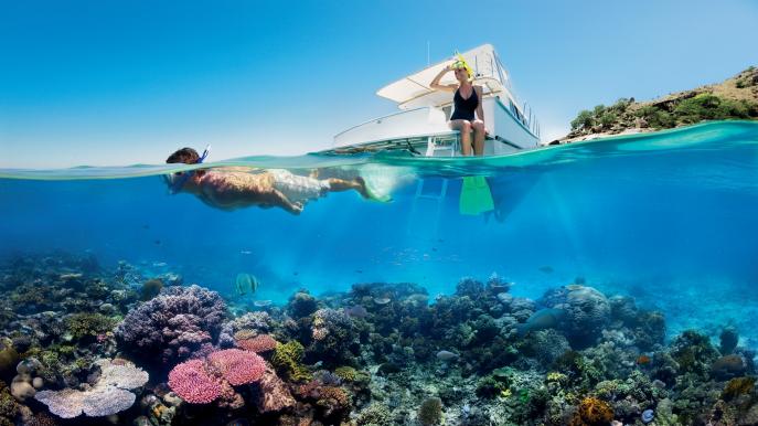 GREAT BARRIER REEF HIGHLIGHTS