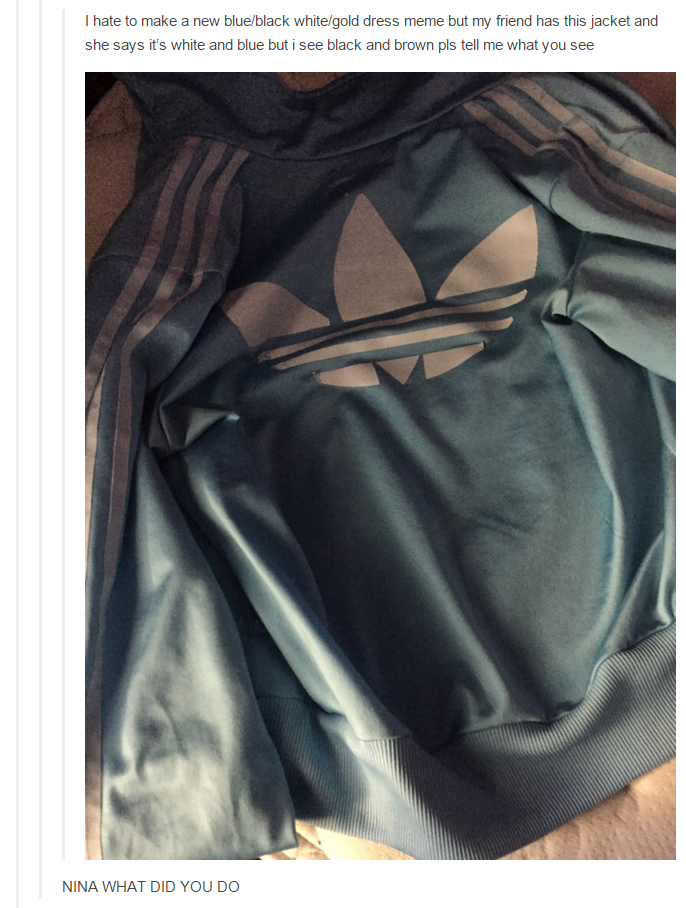 A Year After That Dress The Internet Is Going Crazy Trying To Figure Out This Jacketâ€™s Colour