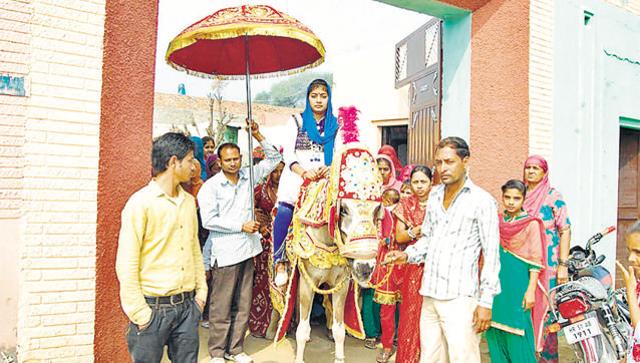 Haryana Bride Sets New Example For Gender Equality, Rides Mare To Her Wedding