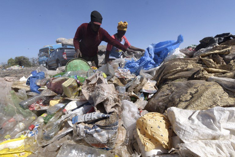 Believe It! Scientists Discover A New Species Of Bacteria That Eats Plastic