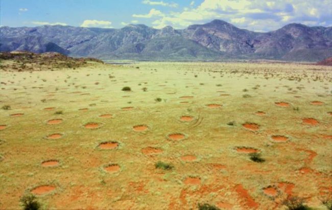 Strangely Barren Patches Of Land Keep Appearing In Australia -- What Are They?