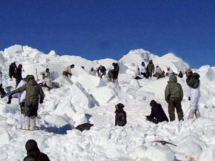 One Soldier Missing After Avalanche Hits Army Patrol Party On Siachen Glacier