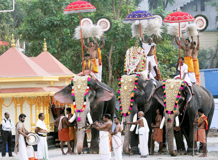 Kerala Government Passes Law Allowing People To Own Elephants PETA Lashes Out