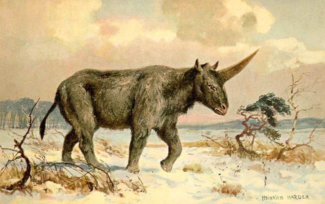 Unicorns Really Existed And Scientists Have Found A Fossilised Skull To Prove It