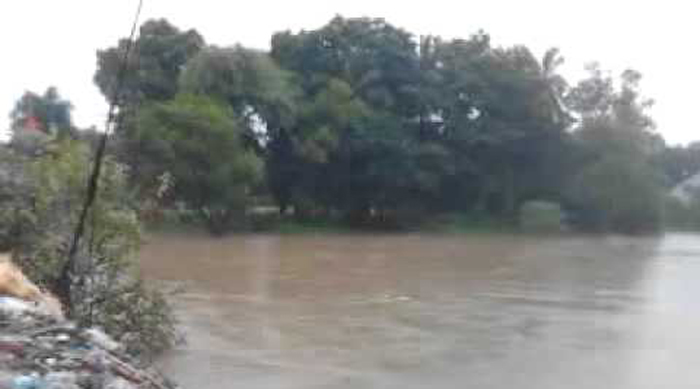Revival of Vishawamitri River Possible Says Waterman Of India
