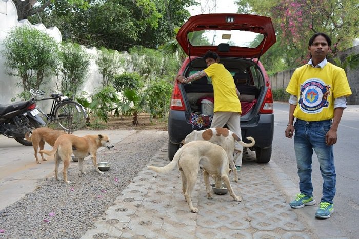 This Lady in Delhi Feeding 800 Stray Dogs Daily Shows What Compassion Towards Animals Is All About