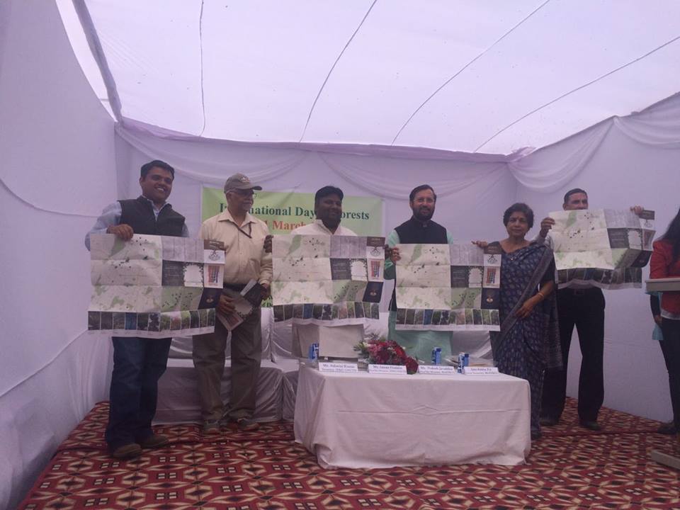 Delhi Got A Brand New Tree Map So That You Can Do Your Bit To Conserve Them