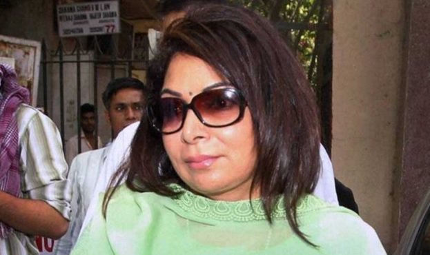 Forgot Controversial Lobbyist Niira Radia She is Back In The Headlines Thanks To The Panama Papers