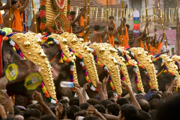 Despite Animal Rights Group Protests Kerala Thrissur Pooram Festival To Have Elephant Parade