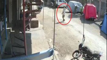 Here is The Best Hit-And-Run Incident Captured On Camera Culprit Is A Monkey