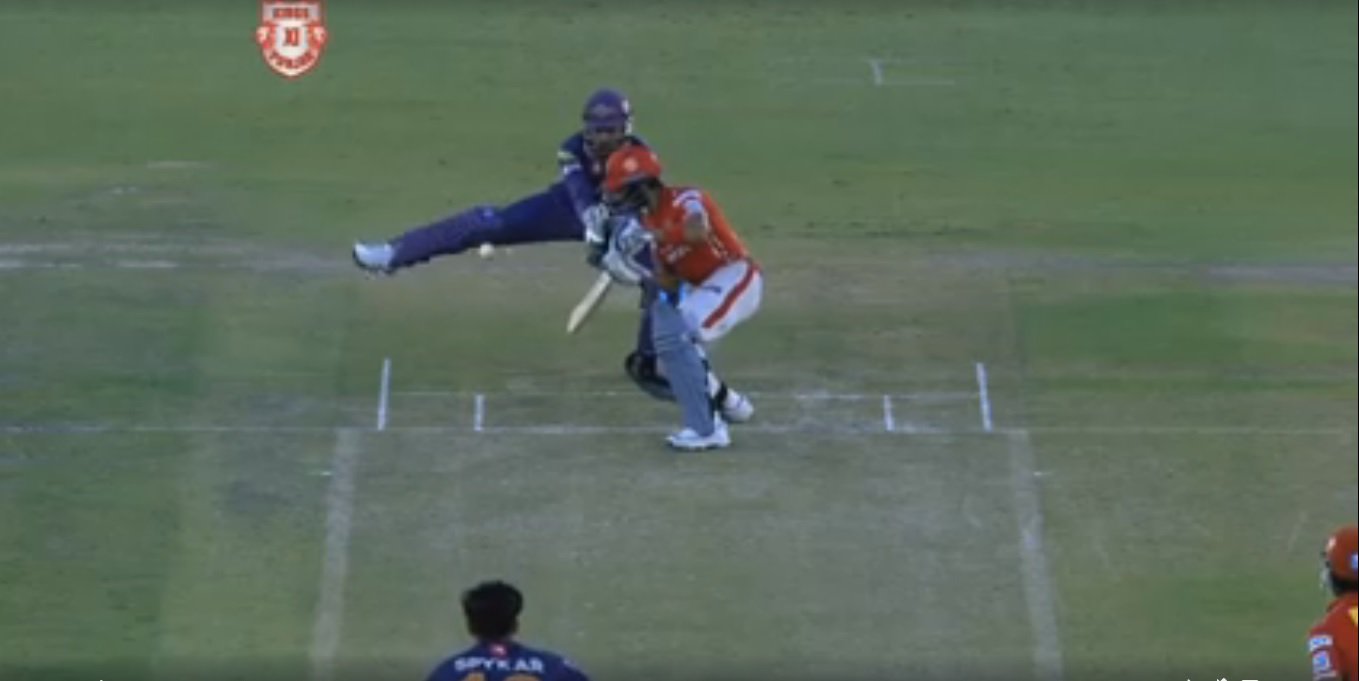 Video Footage Catches MS Dhoni In God Mode Behind The Wickets and The Internet Is Losing Its Shit
