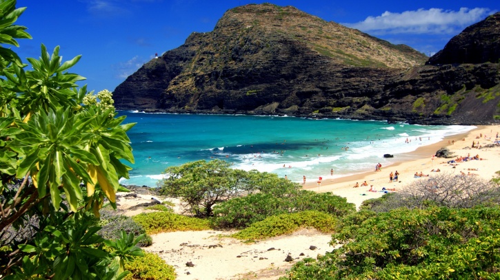 Hawaii Wants You To Move There So That It Can Give You A Job