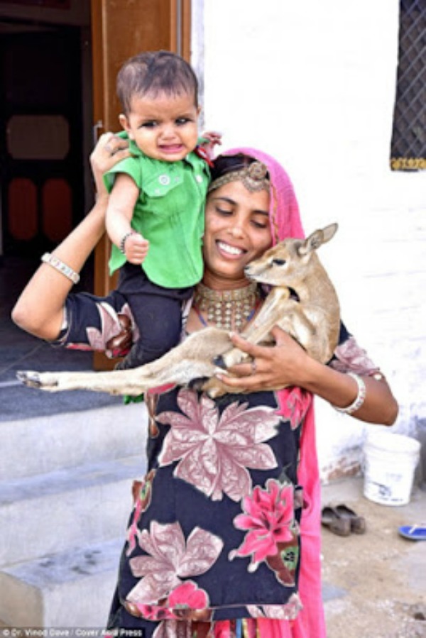 Women Of This Indian Community Breastfeed Baby Deers And It is Inspiring