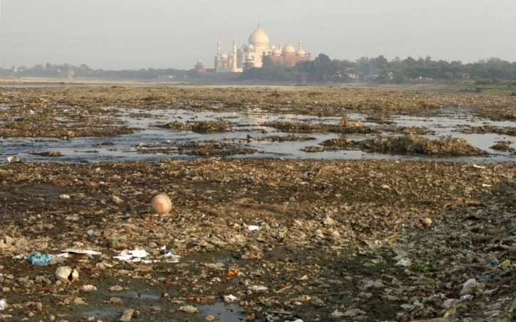 After Pollution It Is An Insect Attack That is Destroying The Taj Mahal