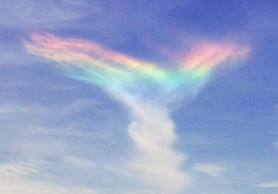 Rainbows Are Cool But Fire Rainbows Are A Stunning Natural Phenomena Most People Do not Know About