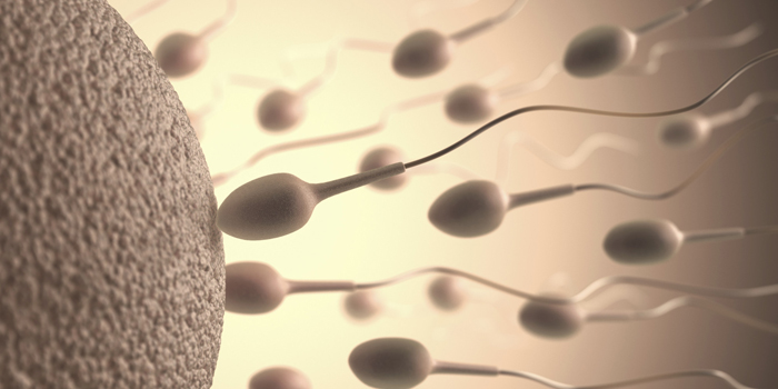 Call For Men In China To Donate Sperm For Countrys Sake