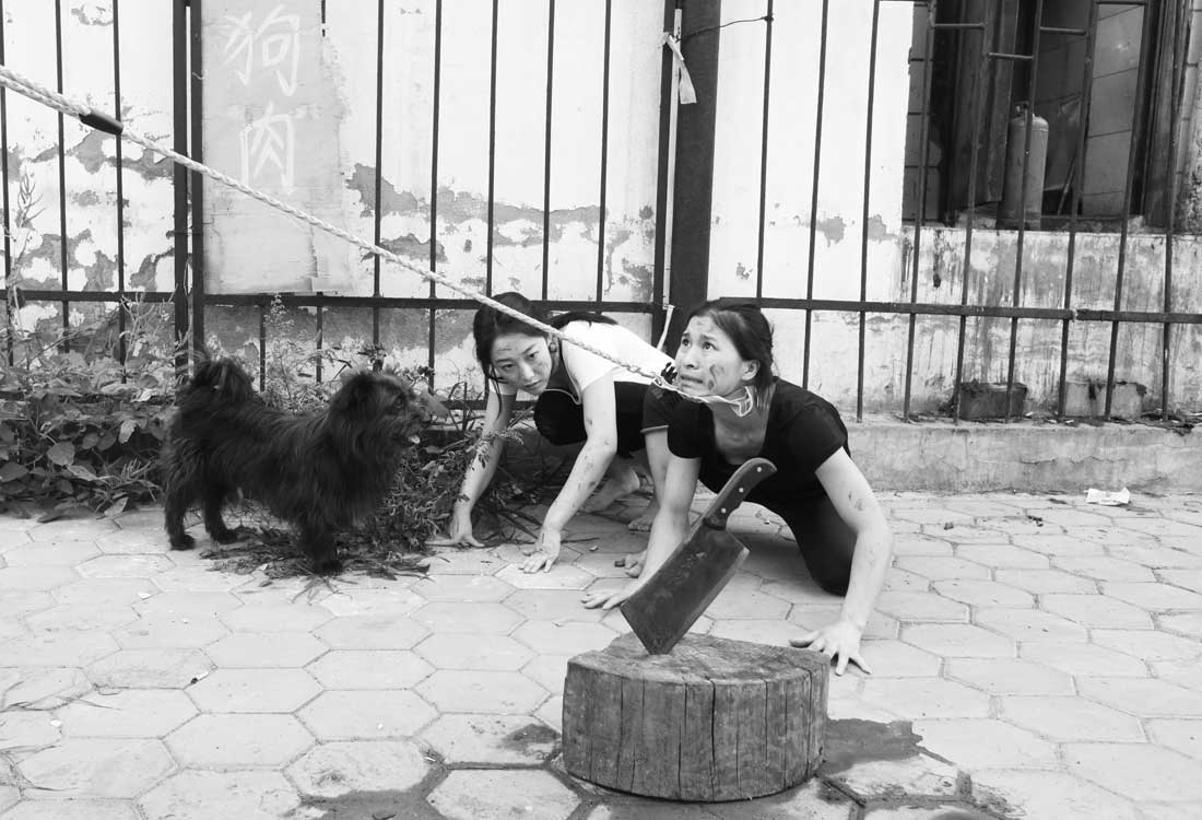 Chinese Pole Dancers Create Provocative Photo Series To Protest Against The Yulin Dog Festival