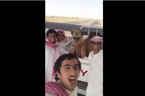 Need A Quick LOL? Hereâ€™s A Short Video Of A Camel Sharing A Laugh With 4 Arab Dudes
