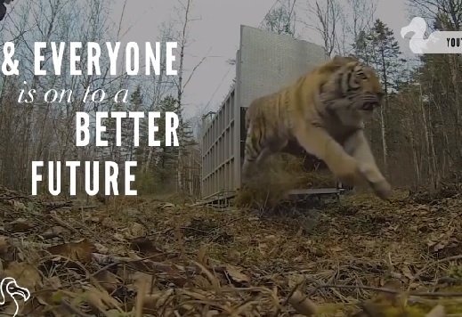 This Compilation Of Animals Being Freed From Their Cages Will Melt Your Heart